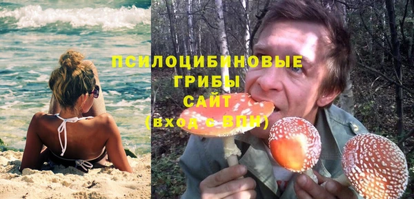 ALPHA PVP Арсеньев