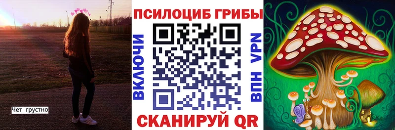 OMG маркетплейс  Балашов  Псилоцибиновые грибы Magic Shrooms 